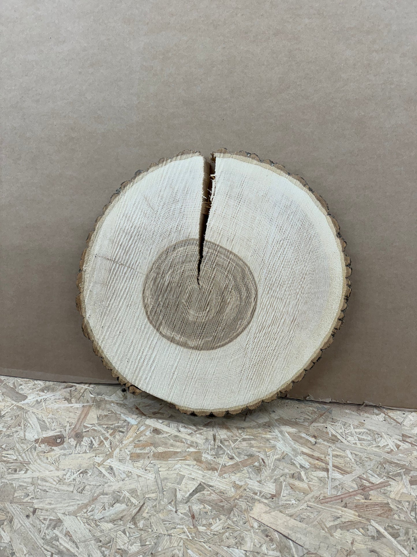Tischplatte Baumscheibe Esche Holzscheibe ca. 47- 45cm
