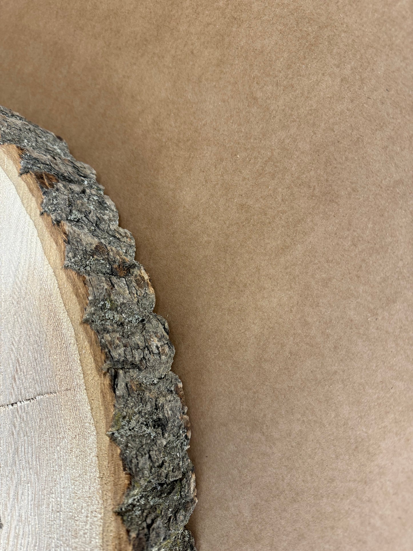 Tischplatte Baumscheibe Esche Holzscheibe ca. 47- 45cm