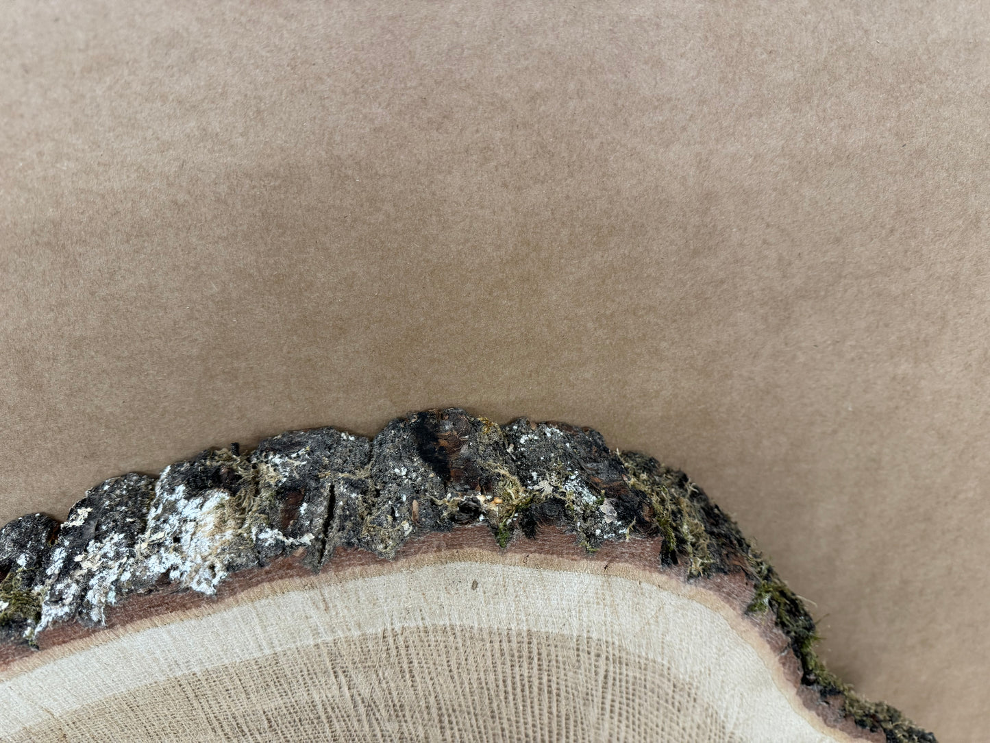 Tischplatte Baumscheibe Eiche Holzscheibe ca. 55-41cm