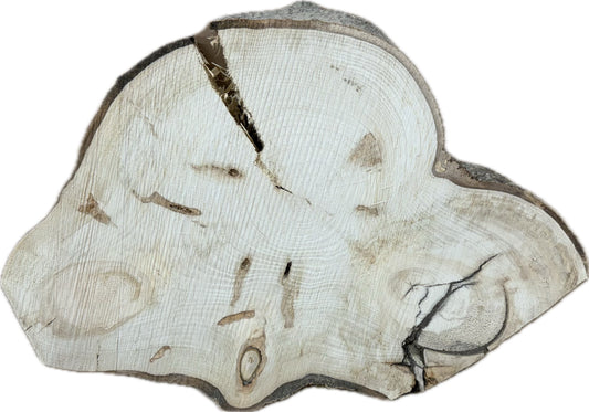 Tischplatte Baumscheibe Pappel Holzscheibe ca. 70-50cm