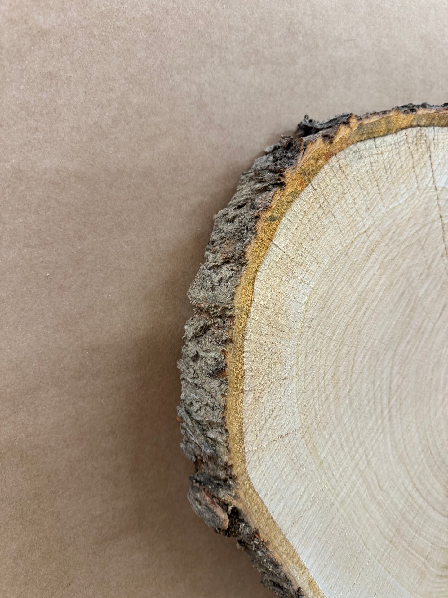 Tischplatte Baumscheibe in Kirsche Holzscheibe ca. 47- 42cm