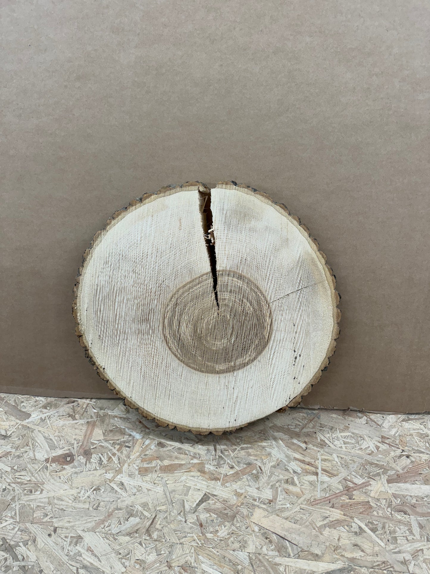 Tischplatte Baumscheibe Esche Holzscheibe ca. 47- 45cm