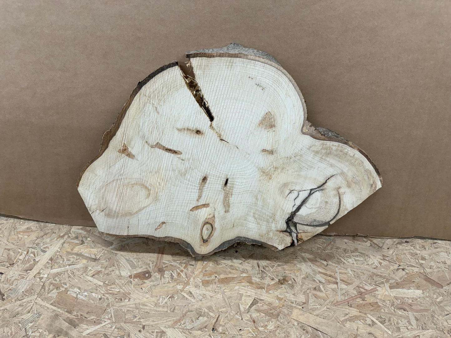 Tischplatte Baumscheibe Pappel Holzscheibe ca. 70-50cm