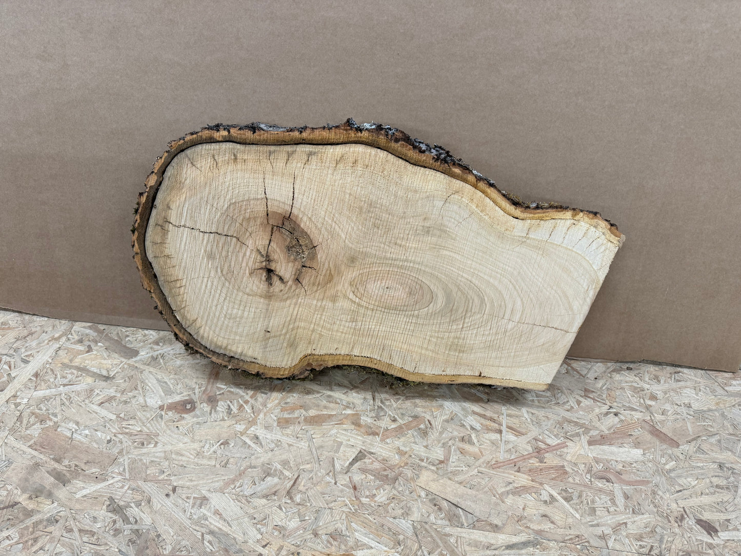 Tischplatte Baumscheibe in Kirsche Holzscheibe ca. 63 - 34 cm