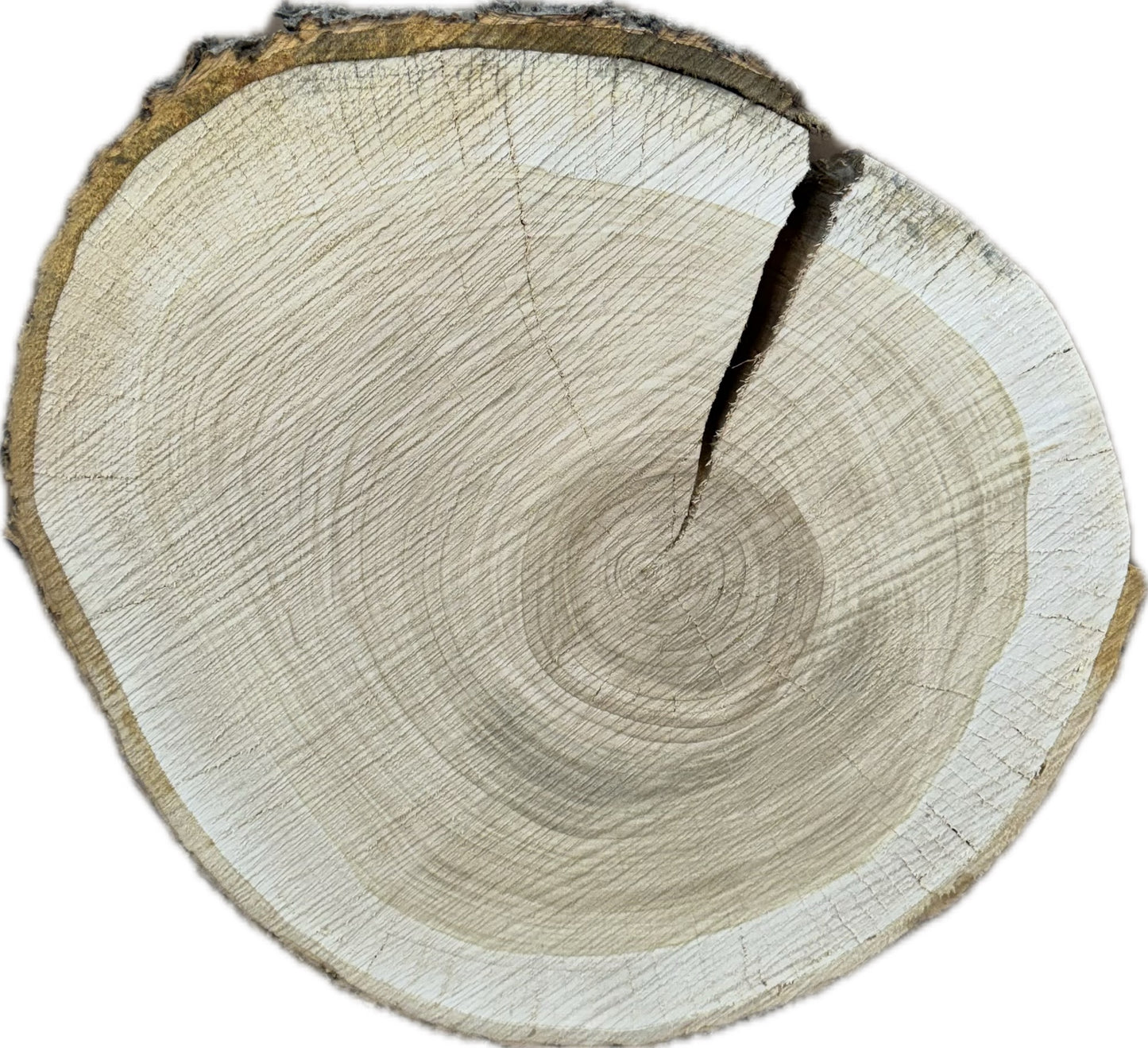 Tischplatte Baumscheibe in Kirsche Holzscheibe ca. 47- 42cm