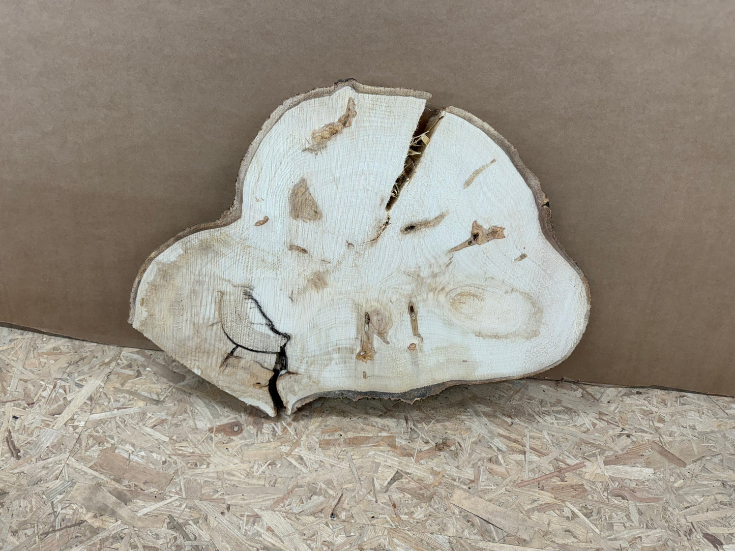 Tischplatte Baumscheibe Pappel Holzscheibe ca. 70-50cm