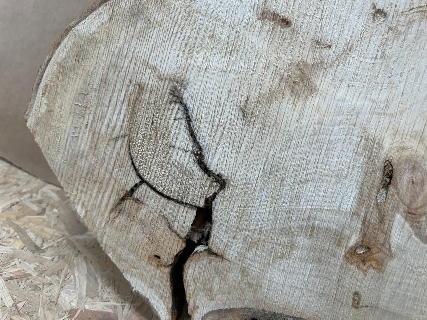 Tischplatte Baumscheibe Pappel Holzscheibe ca. 70-50cm