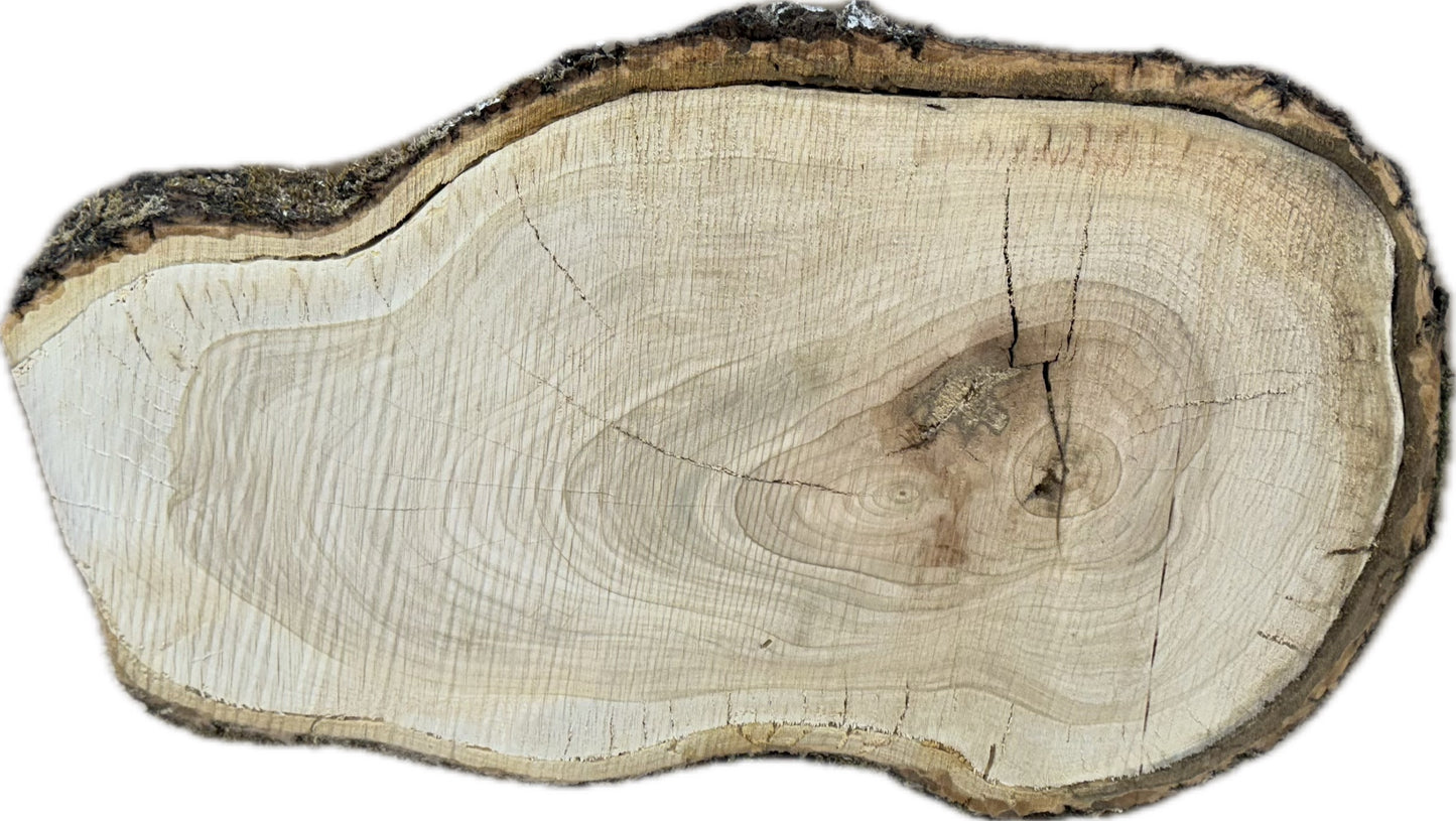 Tischplatte Baumscheibe in Kirsche Holzscheibe ca. 63 - 34 cm
