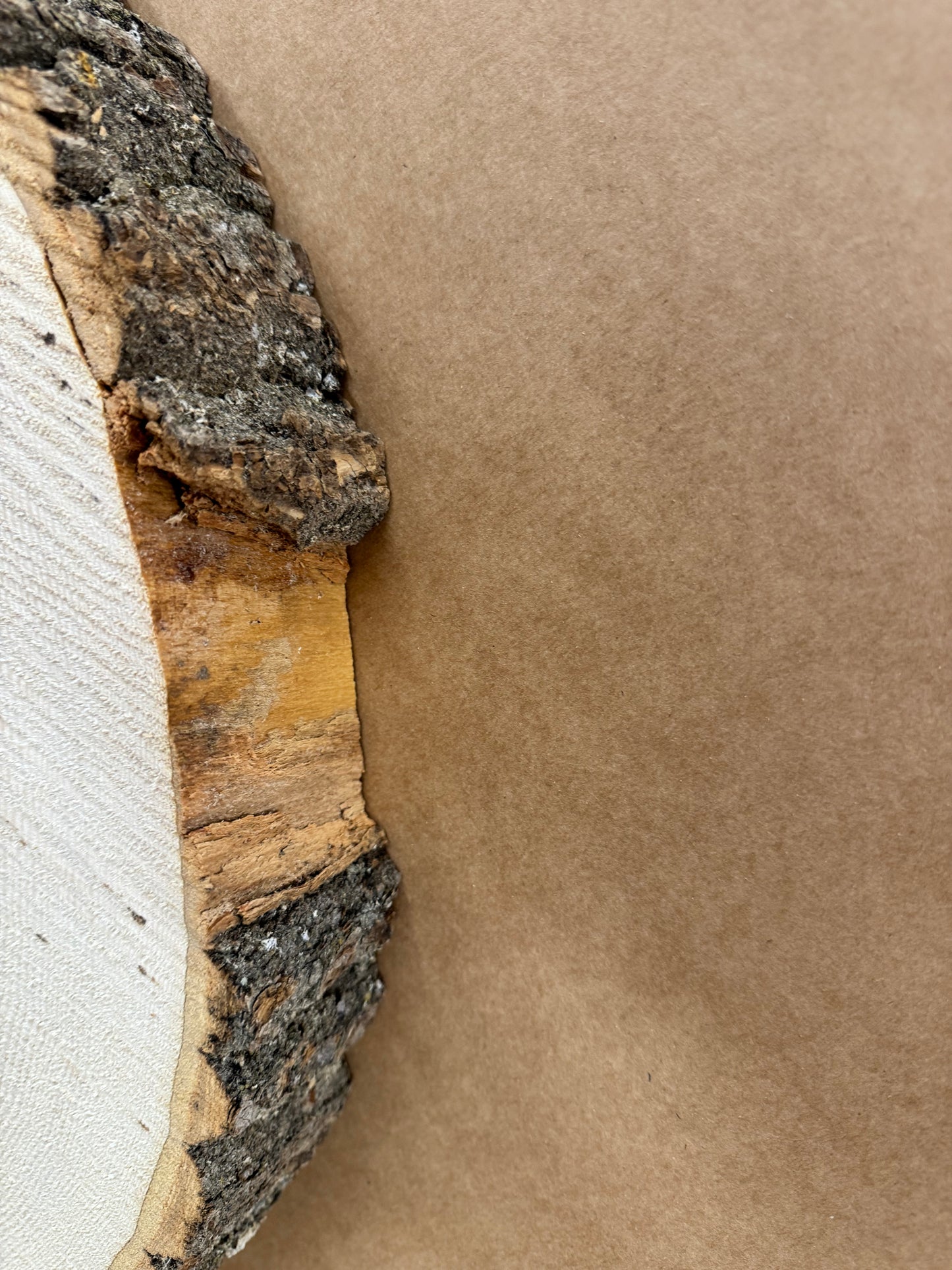 Tischplatte Baumscheibe Esche Holzscheibe ca. 47- 45cm
