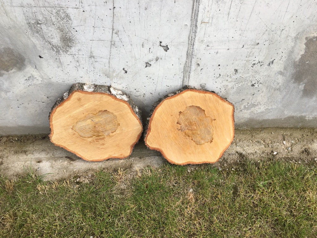 Birkenscheiben in Natur und geschliffen, Tischdeko Baumscheiben Holzscheiben