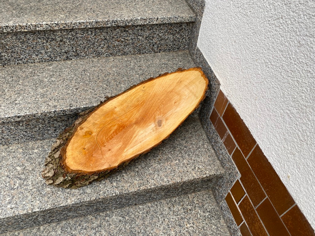 Ovale Baumscheiben in Erle verschiedene Größen