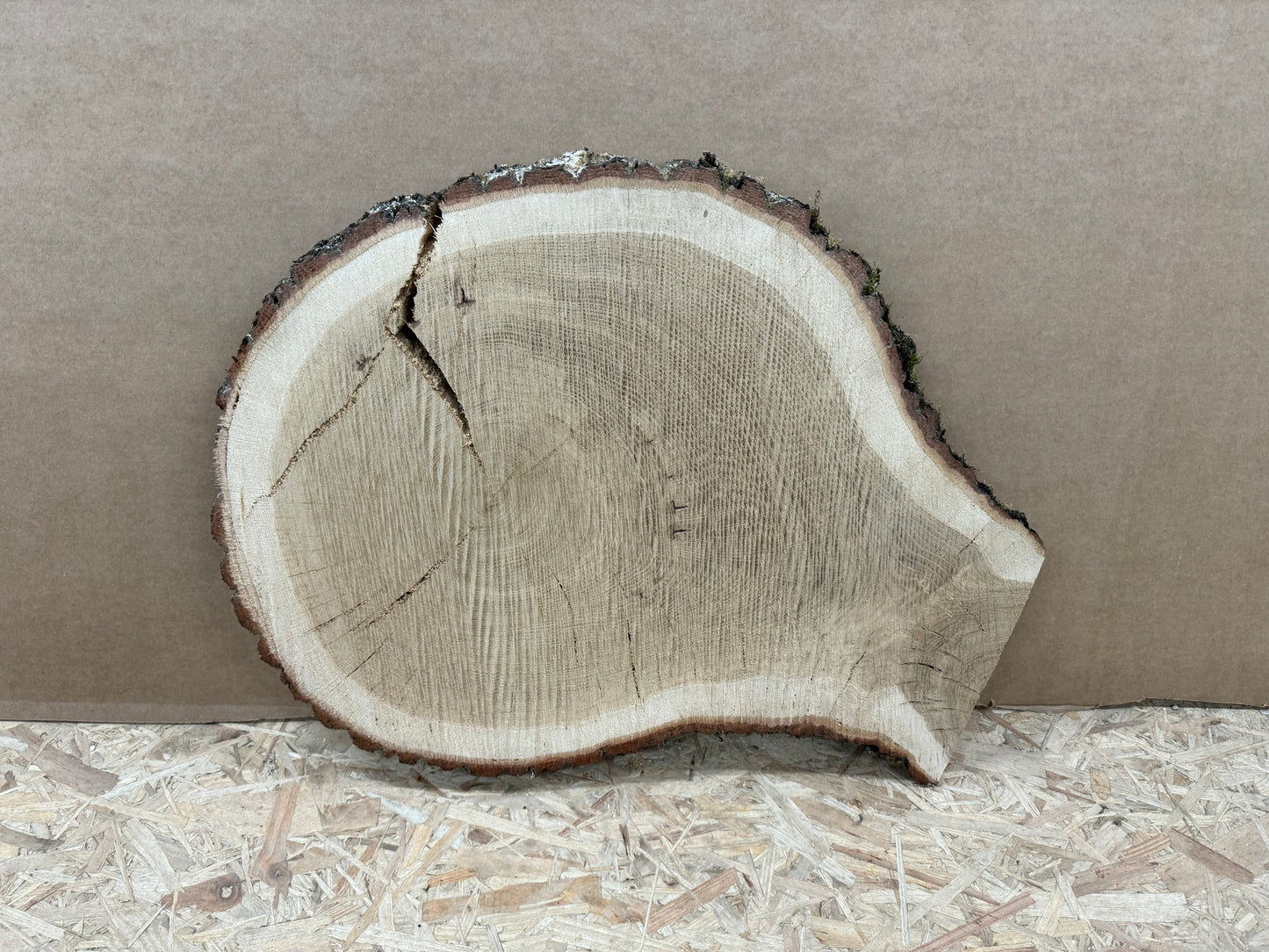 Tischplatte Baumscheibe Eiche Holzscheibe ca. 55-41cm