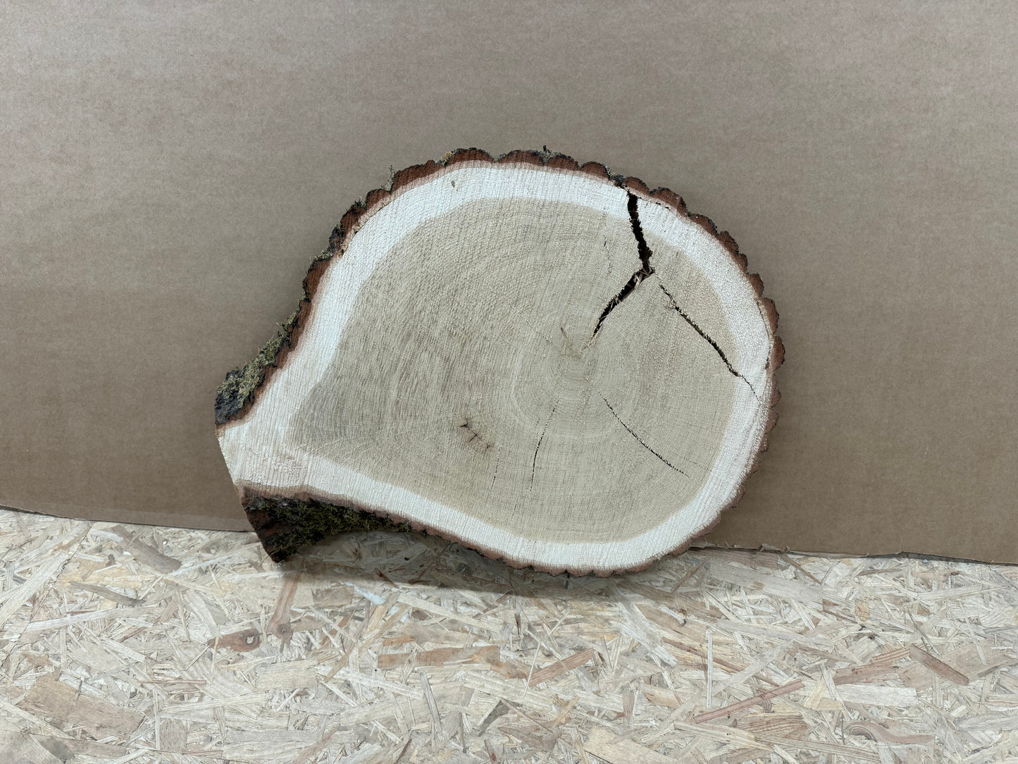 Tischplatte Baumscheibe Eiche Holzscheibe ca. 55-41cm