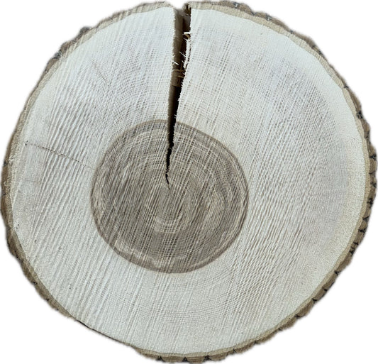 Tischplatte Baumscheibe Esche Holzscheibe ca. 47- 45cm