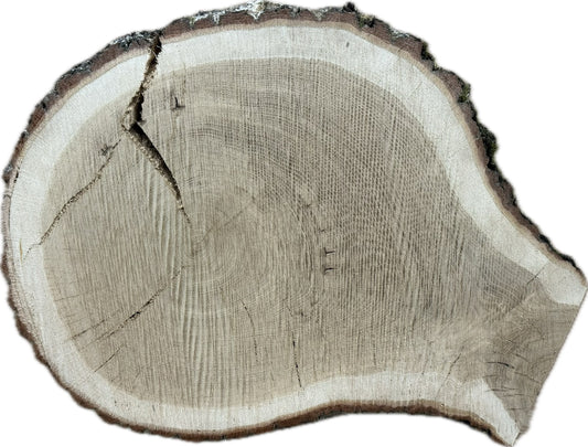 Tischplatte Baumscheibe Eiche Holzscheibe ca. 55-41cm