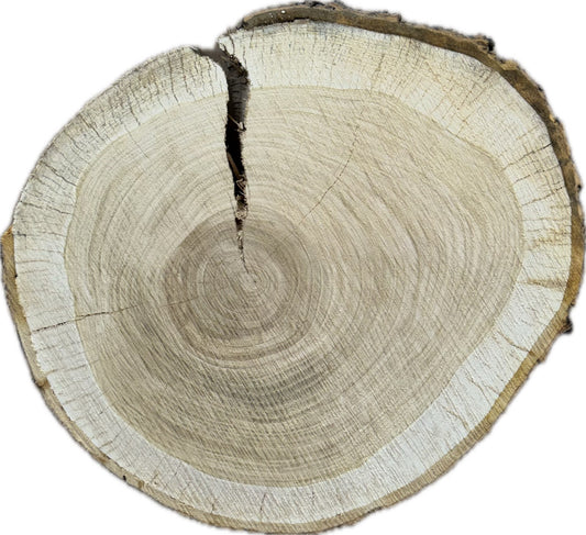 Tischplatte Baumscheibe in Kirsche Holzscheibe ca. 47- 42cm