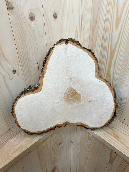 Tischplatte Baumscheibe Birke
