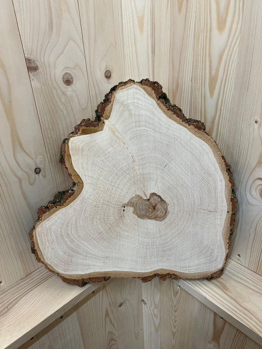 Tischplatte Baumscheibe Birke